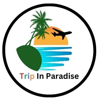 Image showing trip in Paradsie